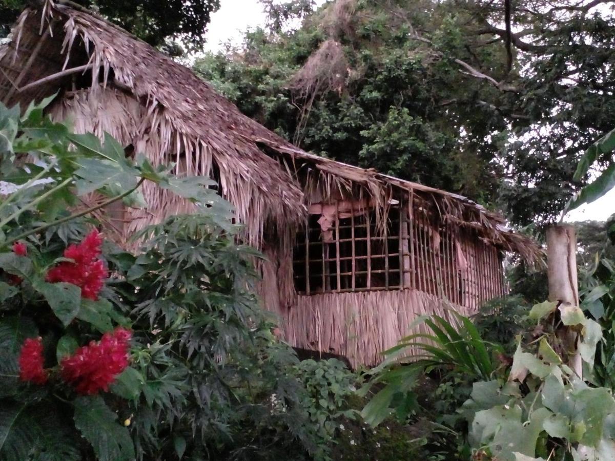 El Bamboo Cabins Бальге Экстерьер фото