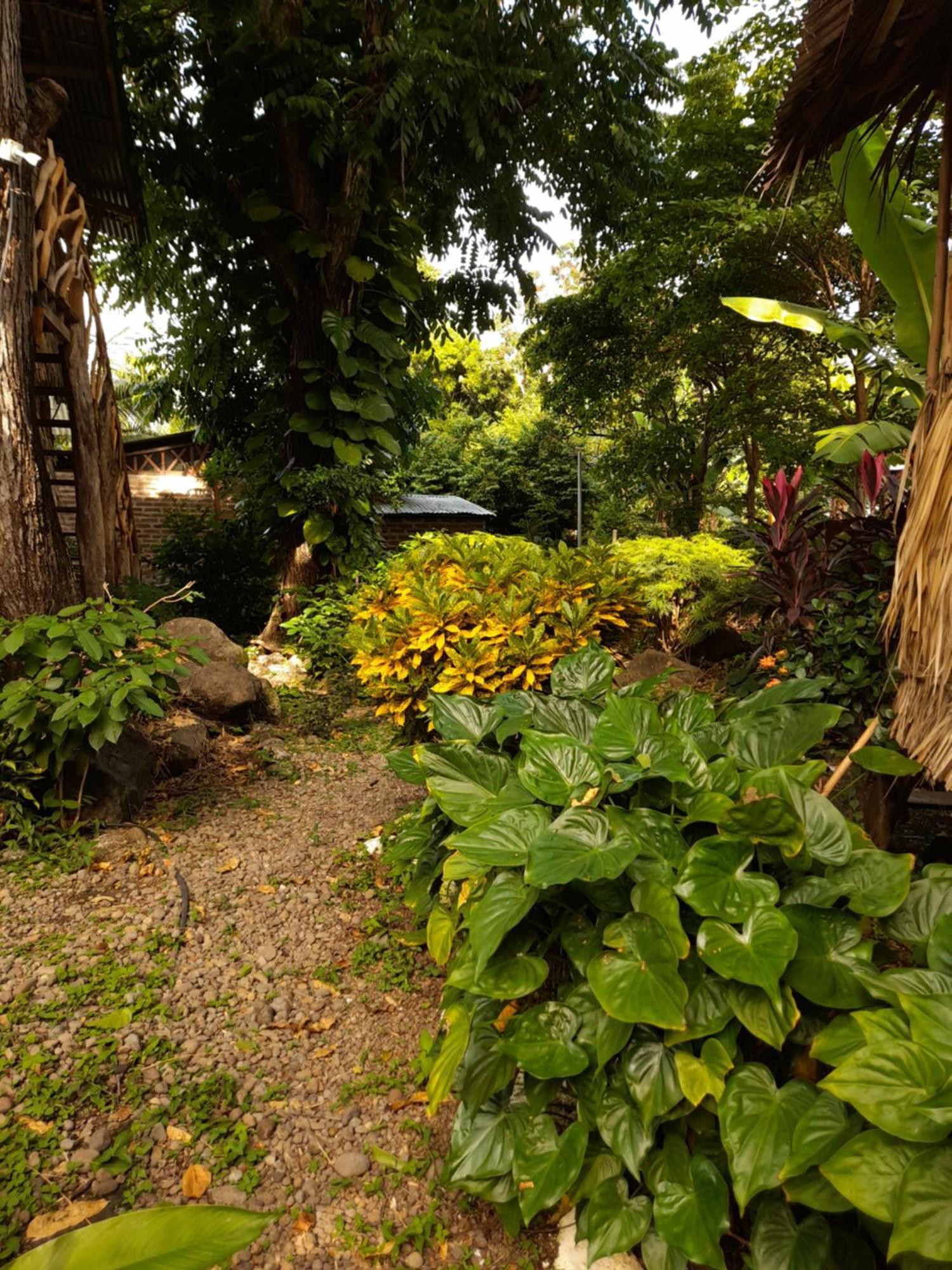 El Bamboo Cabins Бальге Экстерьер фото