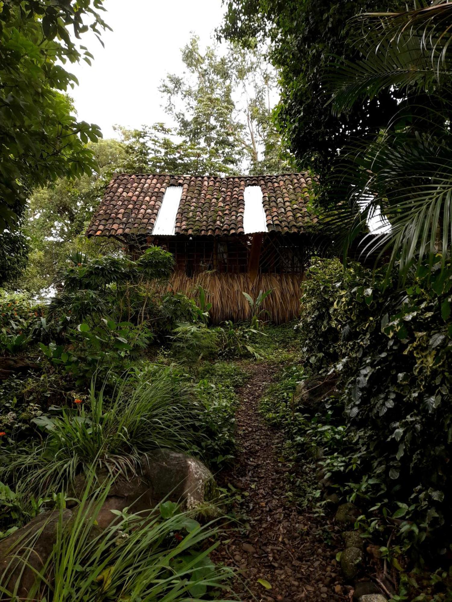 El Bamboo Cabins Бальге Экстерьер фото