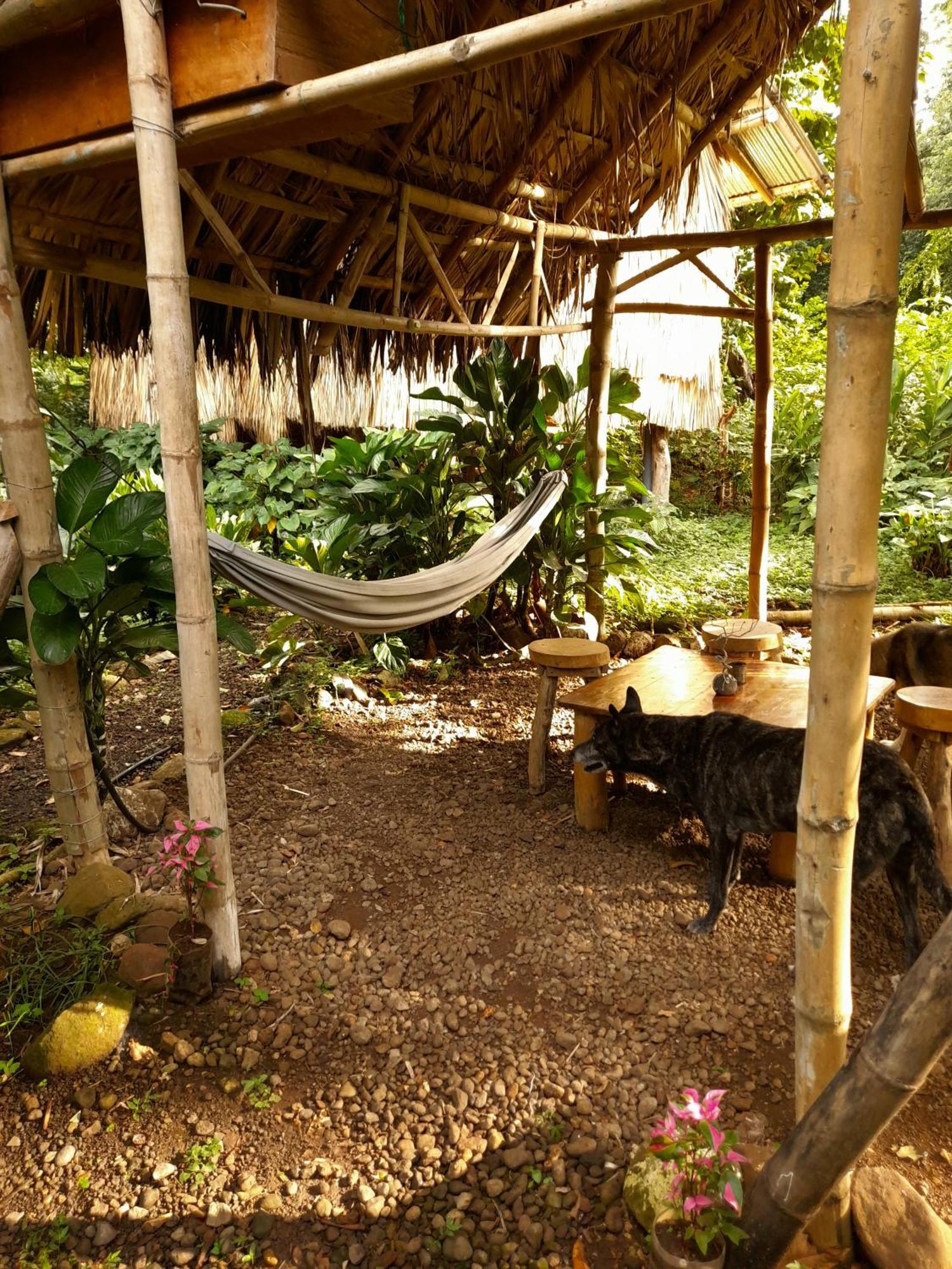 El Bamboo Cabins Бальге Экстерьер фото