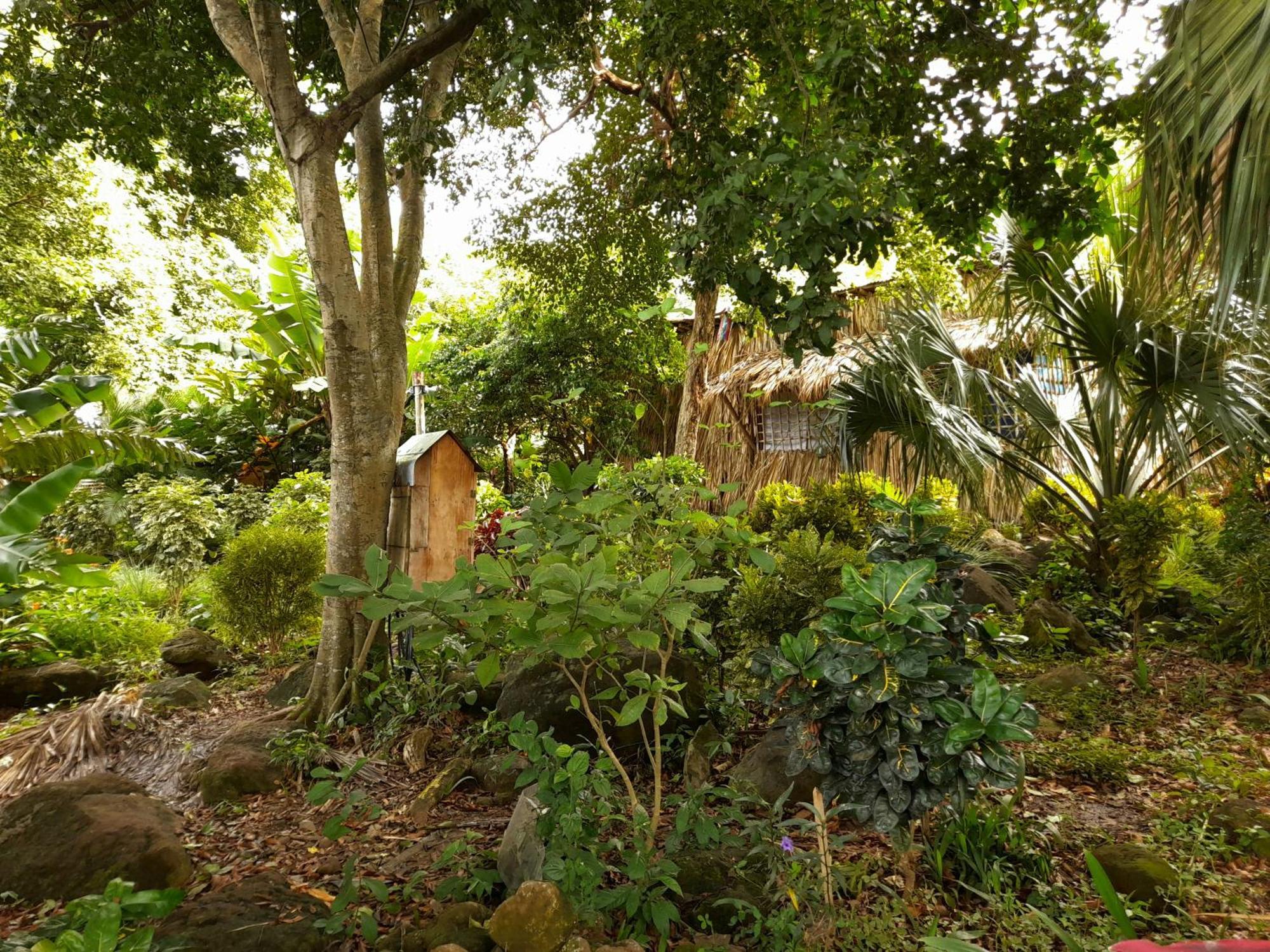 El Bamboo Cabins Бальге Экстерьер фото