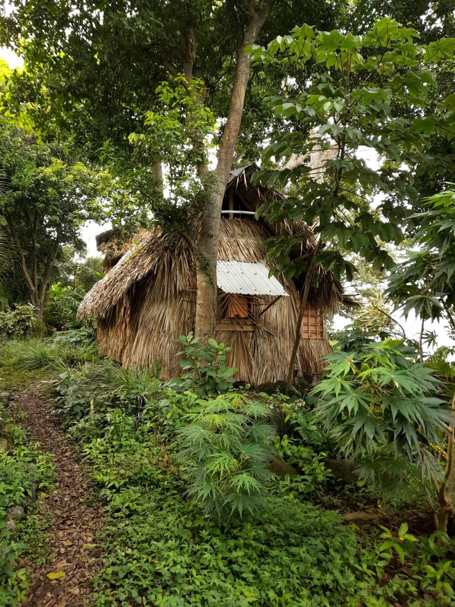 El Bamboo Cabins Бальге Экстерьер фото